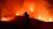 Waldbrände in Europa: Urlaubsregionen von Flammen bedroht
