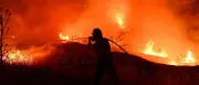 Waldbrände in Südeuropa: Feuer in Frankreich und Griechenland außer Kontrolle