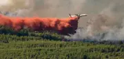 Waldbrände in Südfrankreich: 2000 Feuerwehrleute im Einsatz