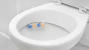 WC-Steine: Keim-Lüge? Experten warnen vor Hygienemangel