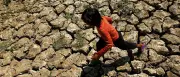 WMO warnt vor extremem El Niño: Dürre, Starkregen und steigende Rohstoffpreise